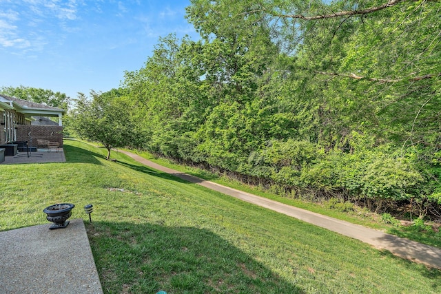 1230 Chickadee Cir, Hermitage, TN 37076 - view of yard