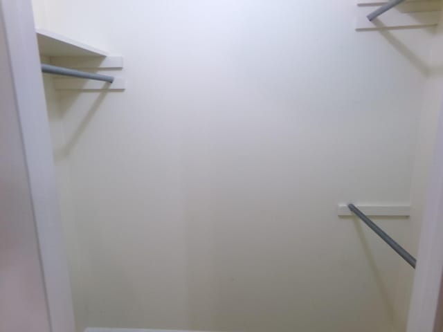 224 Gaines Cir, Estill Springs, TN 37330 - view of walk in closet