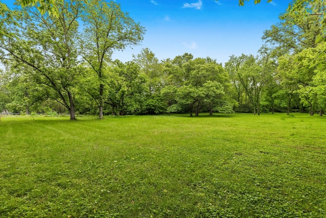 3103 Lakeland Dr, Nashville, TN 37214 - view of yard