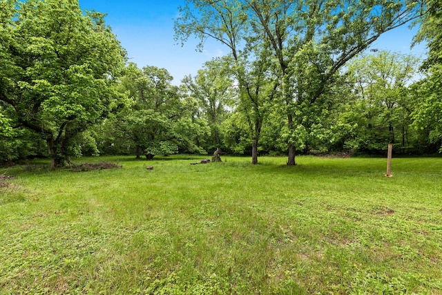 3103 Lakeland Dr, Nashville, TN 37214 - view of yard featuring a wooded view