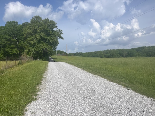 375 Good Hope Rd, Leoma, TN 38468 - view of dirt / gravel road