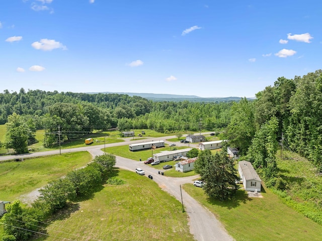 1841 Main St, Jasper, TN 37347 - drone / aerial view of a forest