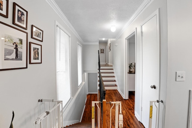 5024 Lakeridge Dr, Old Hickory, TN 37138 - hallway with dark wood-type flooring, crown molding, a textured ceiling, and stairway