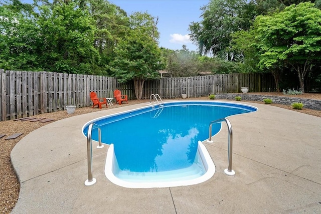 5024 Lakeridge Dr, Old Hickory, TN 37138 - view of swimming pool with a patio area and a fenced backyard