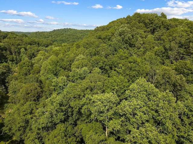 22 Deer Wood Trl, Pegram, TN 37143