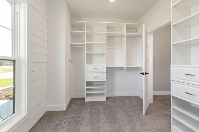 walk in closet featuring carpet floors