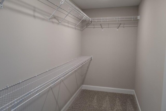 35 Cherry Acres, Clarksville, TN 37042 - photo 24