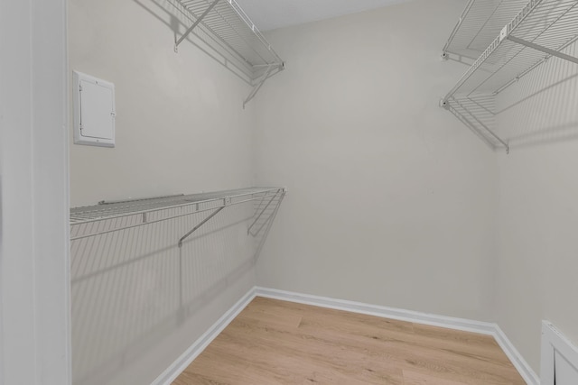4048 Lancashire Dr, Antioch, TN 37013 - walk in closet featuring light wood-style floors