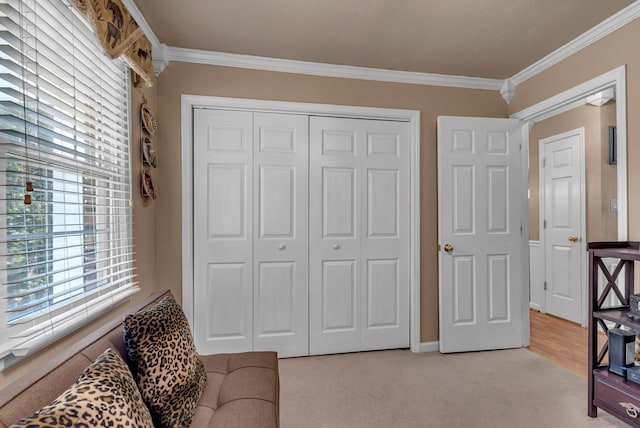 living area with crown molding and light colored carpet
