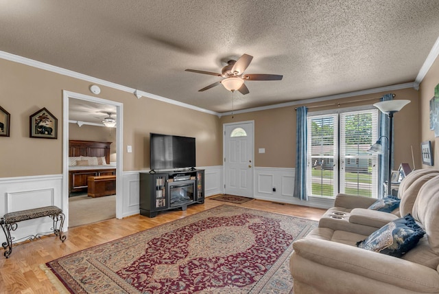 living room with ceiling fan, wainscoting, crown molding, light wood finished floors, and a textured ceiling