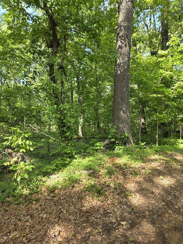 0 Arkadelphia Rd, Clarksville, TN 37040 - photo 6