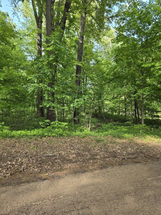 0 Arkadelphia Rd, Clarksville, TN 37040 - photo 2