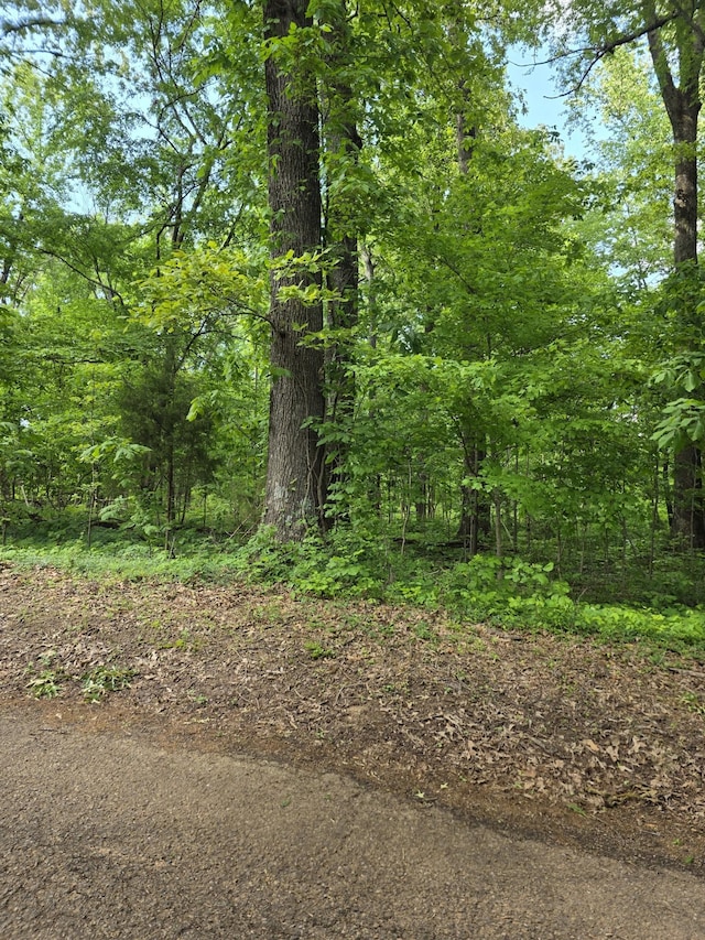 0 Arkadelphia Rd, Clarksville, TN 37040 - photo 3