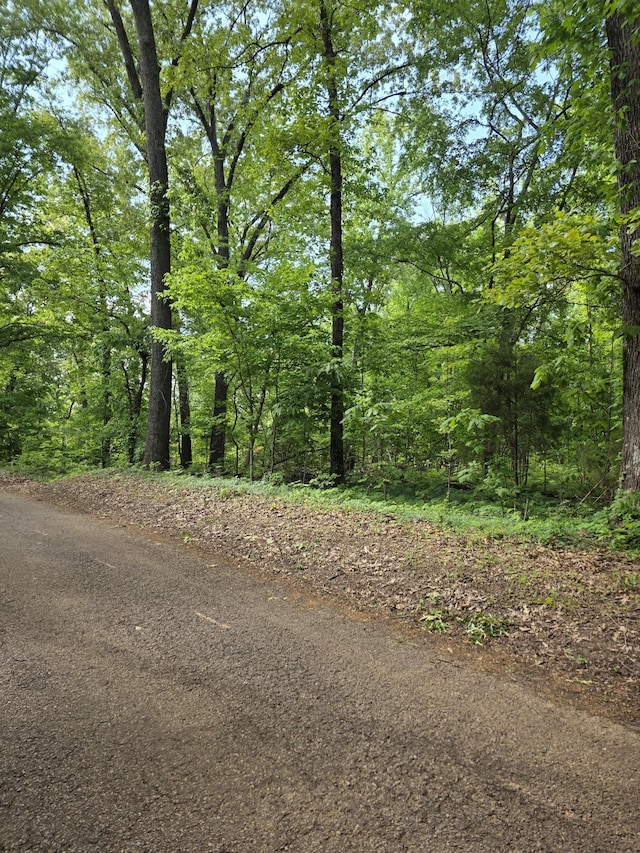 0 Arkadelphia Rd, Clarksville, TN 37040 - photo 1