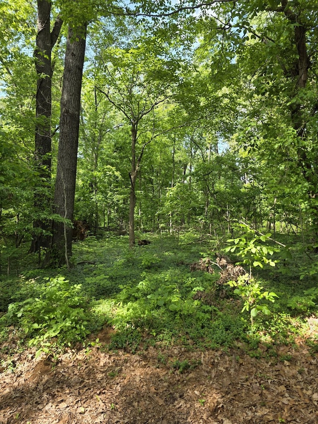 0 Arkadelphia Rd, Clarksville, TN 37040 - photo 4