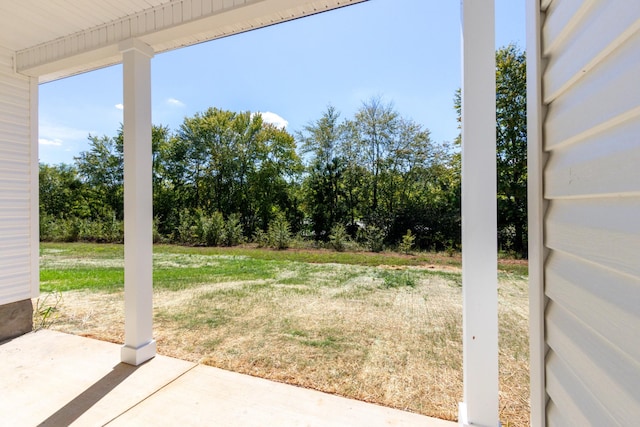 view of yard featuring a patio area