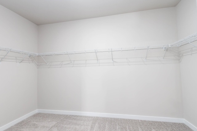 spacious closet featuring light colored carpet