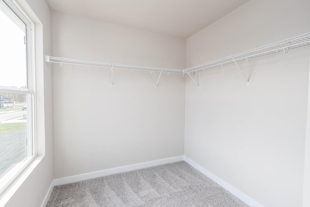 walk in closet featuring light carpet