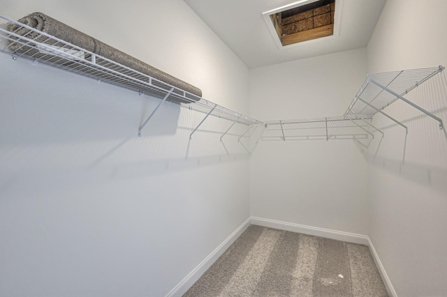 walk in closet featuring attic access and carpet floors