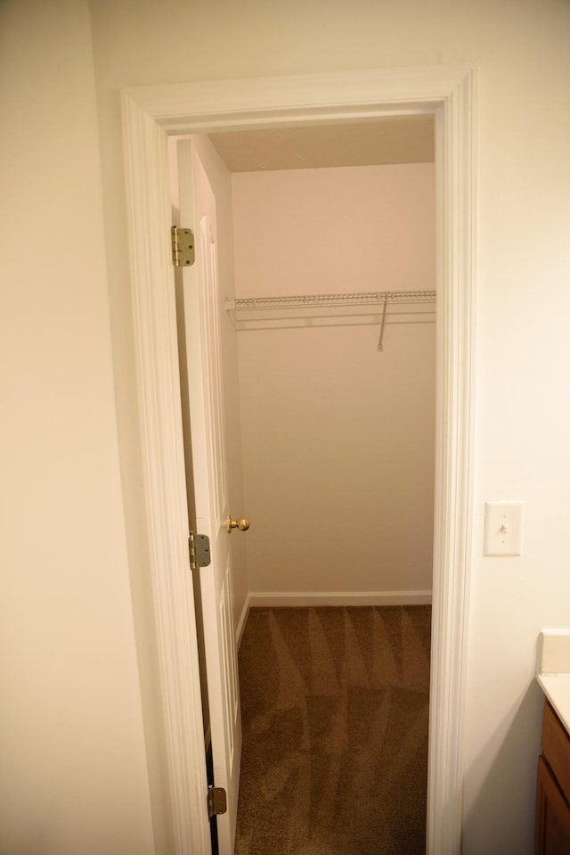 view of closet