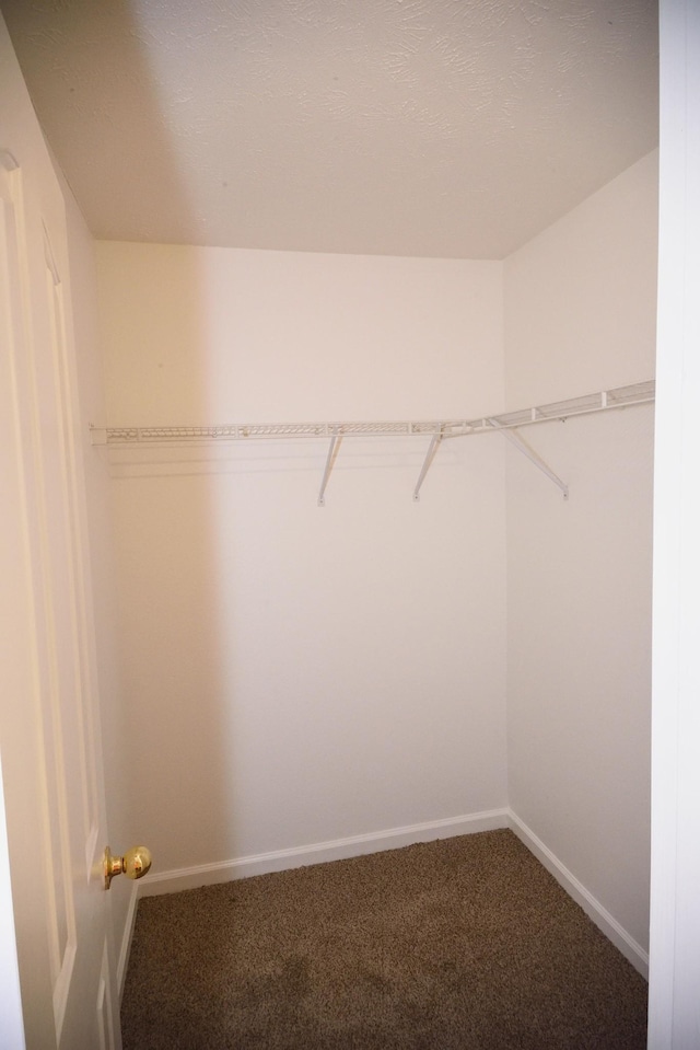 301 Arapaho Dr, Murfreesboro, TN 37128 - walk in closet with carpet flooring