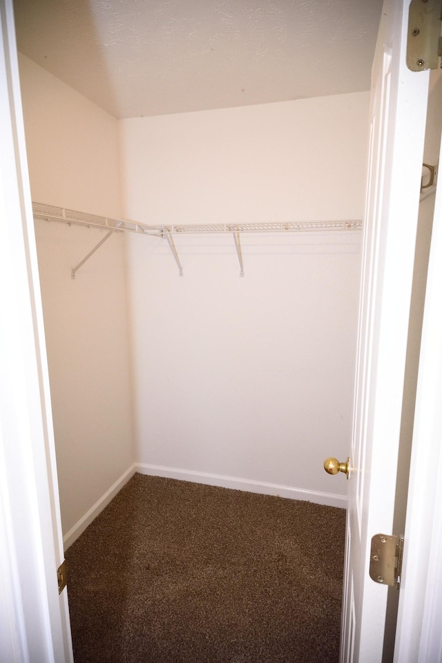 301 Arapaho Dr, Murfreesboro, TN 37128 - spacious closet with carpet