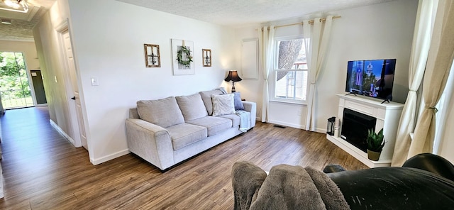 429 E Castle St, Murfreesboro, TN 37130 - living area featuring a wealth of natural light, wood finished floors, a fireplace, and a textured ceiling