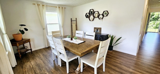 429 E Castle St, Murfreesboro, TN 37130 - dining room with baseboards, a textured ceiling, and wood finished floors