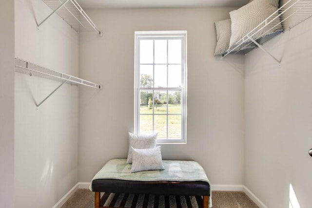 walk in closet with carpet flooring