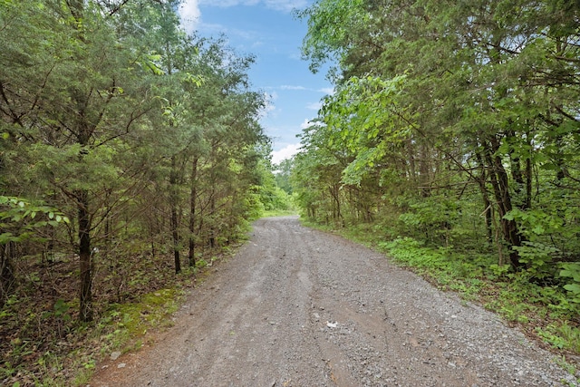 view of road featuring a view of trees