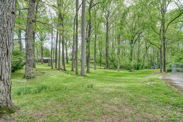 view of yard