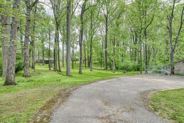 view of road with driveway