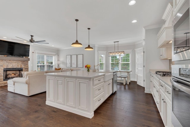 kitchen featuring a ceiling fan, a healthy amount of sunlight, appliances with stainless steel finishes, and a sink