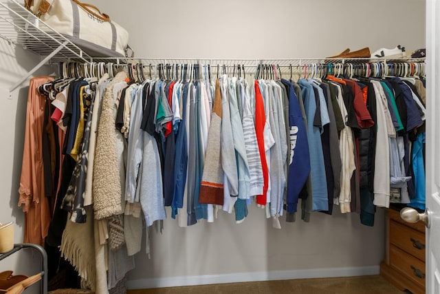 view of spacious closet