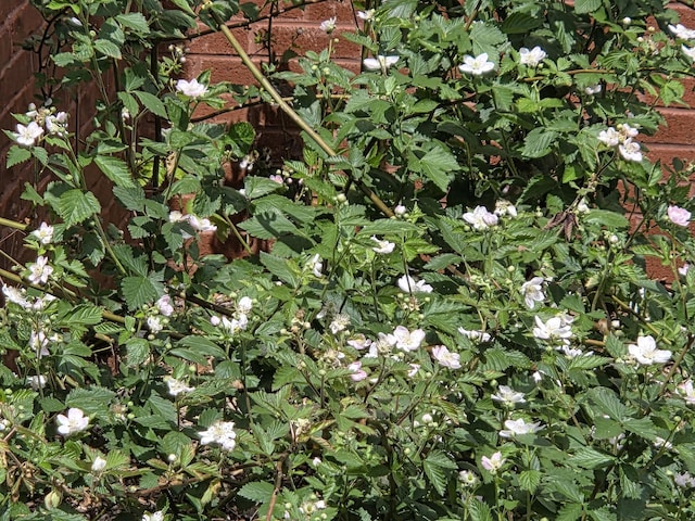 view of nature
