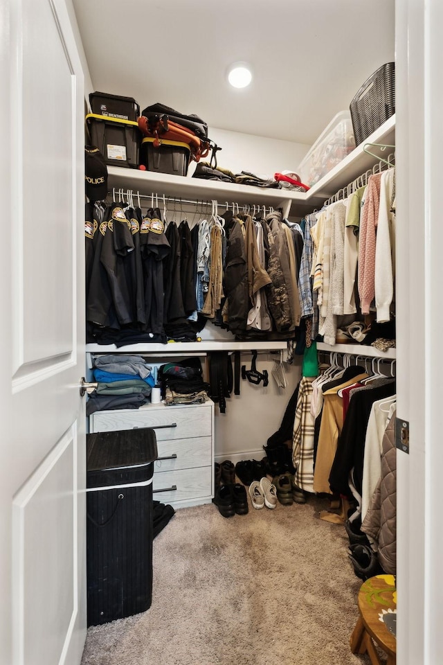 walk in closet featuring carpet floors