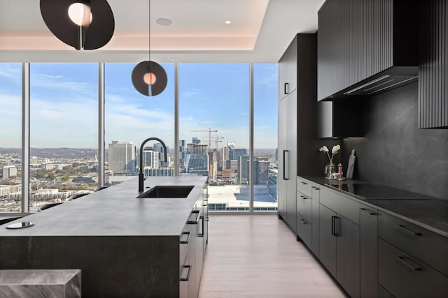 1616 W End Ave Unit 3202, Nashville, TN 37203 - kitchen featuring a sink, light wood-style flooring, a healthy amount of sunlight, and a view of city