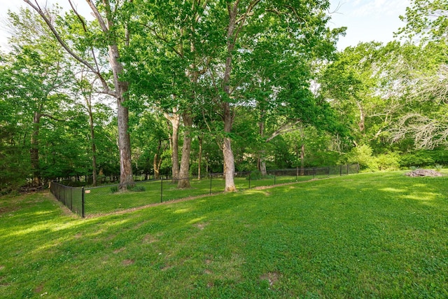 411 Rosehill Ct, Goodlettsville, TN 37072 - view of yard with fence