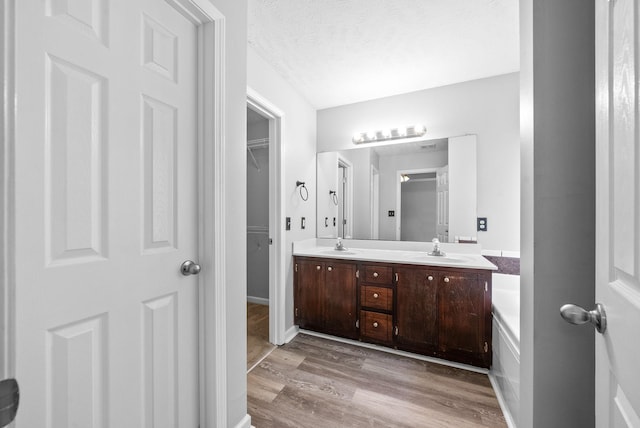 1476 Mutual Dr, Clarksville, TN 37042 - bathroom with wood finished floors, double vanity, and a walk in closet
