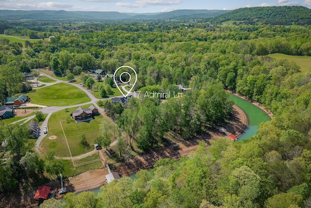 drone / aerial view featuring a view of trees