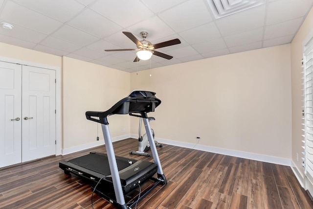workout room featuring a drop ceiling, a ceiling fan, and dark wood finished floors