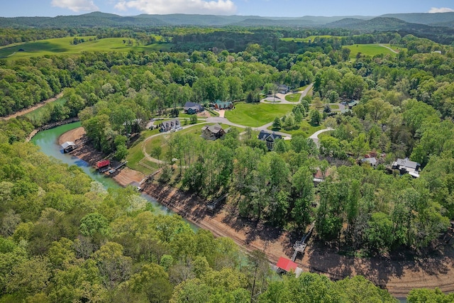 birds eye view of property featuring a wooded view and a mountain view