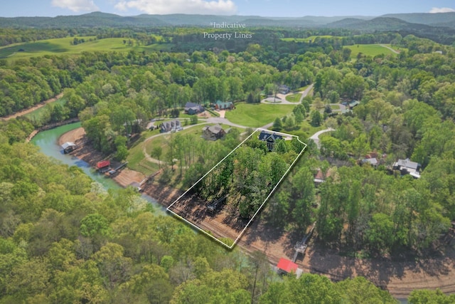 drone / aerial view featuring a wooded view and a mountain view