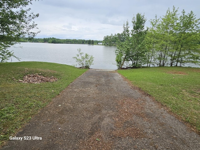 46 Lakeshore Dr, Beechgrove, TN 37018 - photo 12