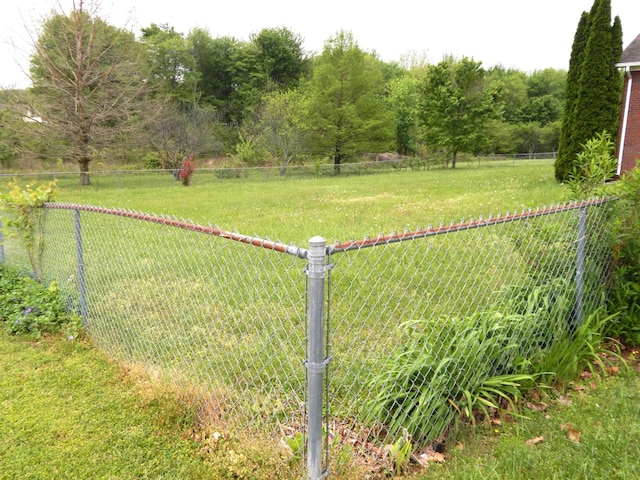 1876 Fall River Rd, Lawrenceburg, TN 38464 - view of yard