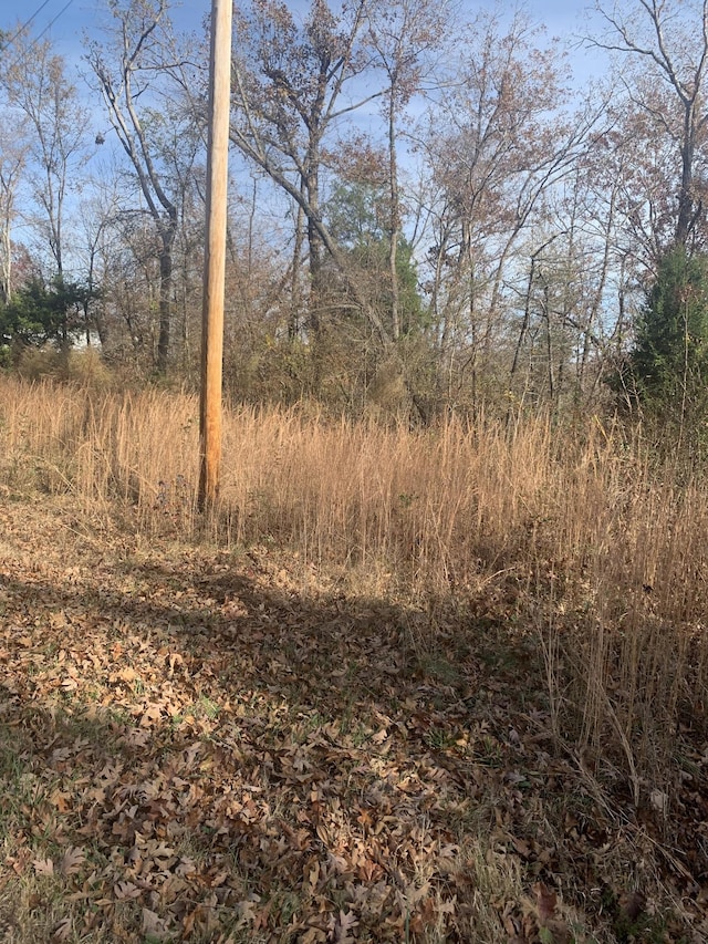 0 Lower Roans Creek Rd, Linden, TN 37096