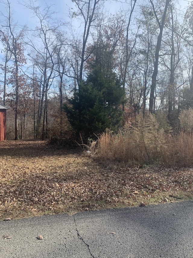 0 Lower Roans Creek Rd, Linden, TN 37096