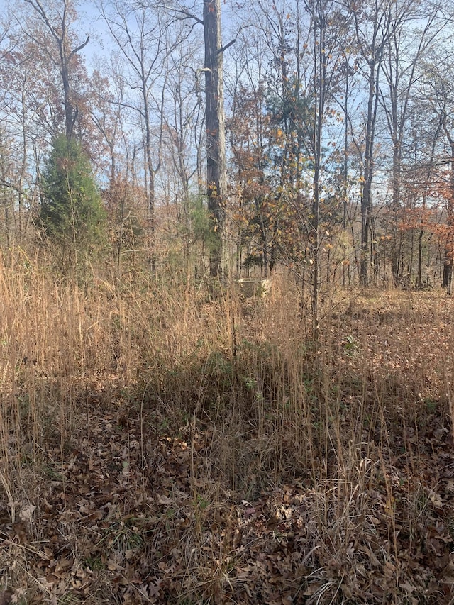 0 Lower Roans Creek Rd, Linden, TN 37096