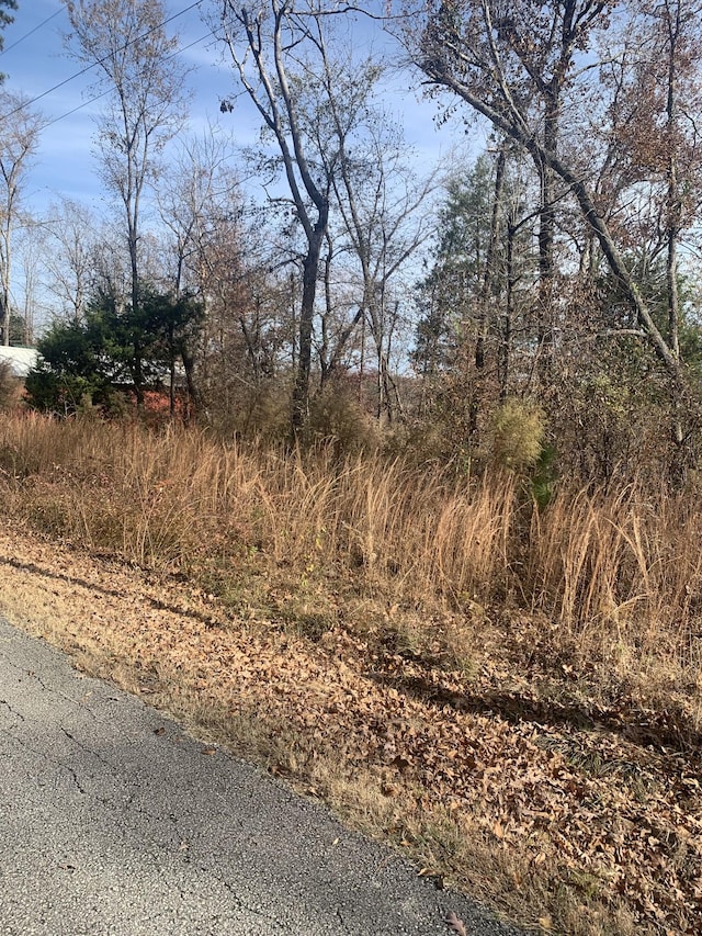 0 Lower Roans Creek Rd, Linden, TN 37096