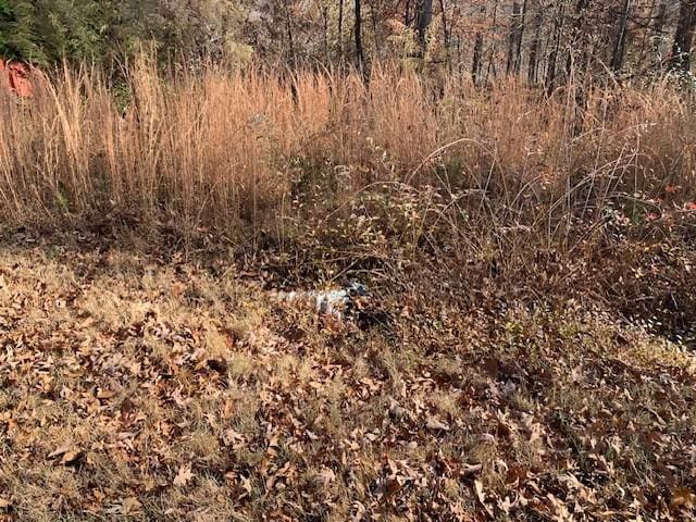 0 Lower Roans Creek Rd, Linden, TN 37096